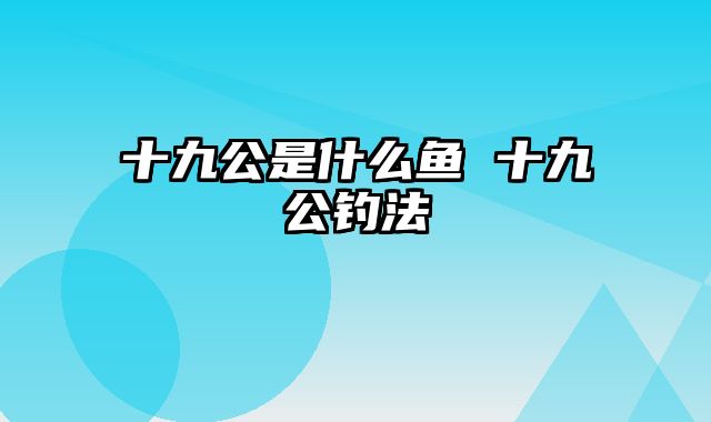 十九公是什么鱼 十九公钓法