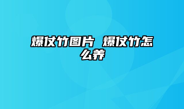 爆仗竹图片 爆仗竹怎么养