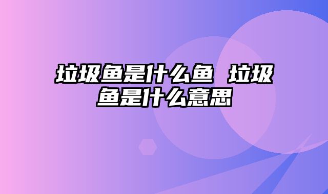 垃圾鱼是什么鱼 垃圾鱼是什么意思
