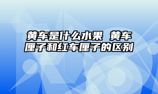 黄车是什么水果 黄车厘子和红车厘子的区别