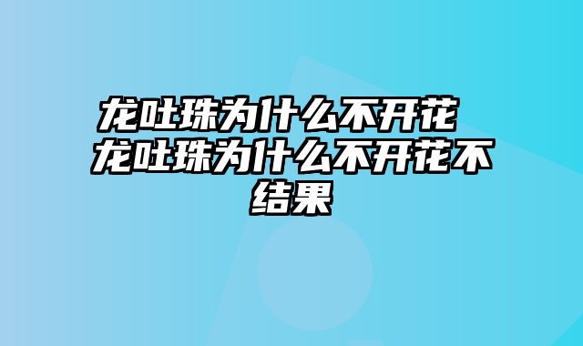 龙吐珠为什么不开花 龙吐珠为什么不开花不结果