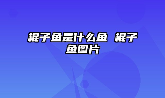 棍子鱼是什么鱼 棍子鱼图片