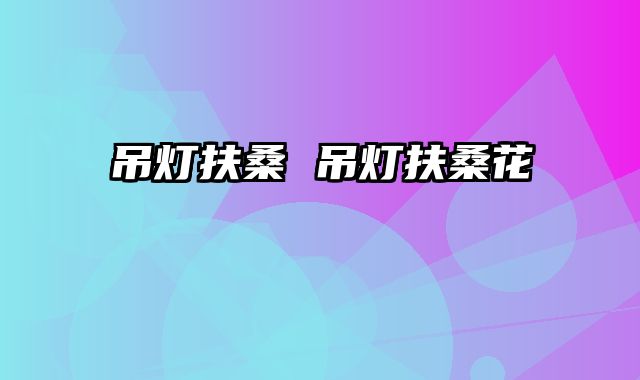 吊灯扶桑 吊灯扶桑花