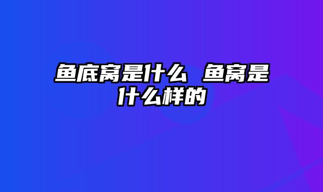 鱼底窝是什么 鱼窝是什么样的