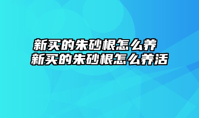新买的朱砂根怎么养 新买的朱砂根怎么养活