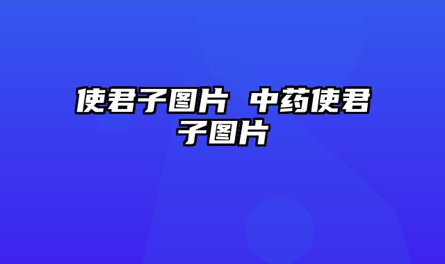 使君子图片 中药使君子图片