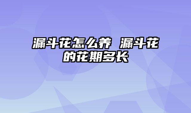 漏斗花怎么养 漏斗花的花期多长