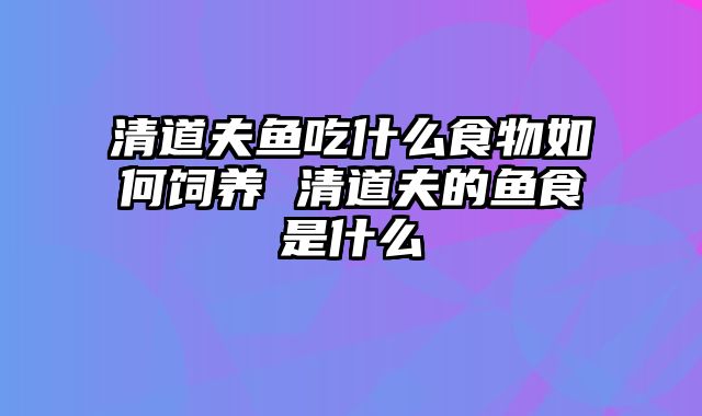 清道夫鱼吃什么食物如何饲养 清道夫的鱼食是什么