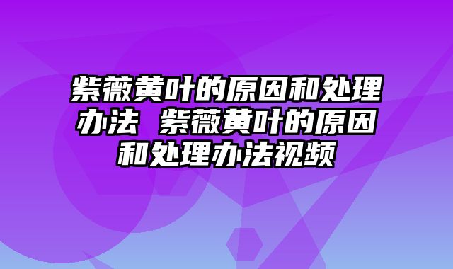 紫薇黄叶的原因和处理办法 紫薇黄叶的原因和处理办法视频