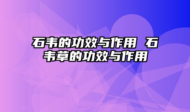 石韦的功效与作用 石韦草的功效与作用