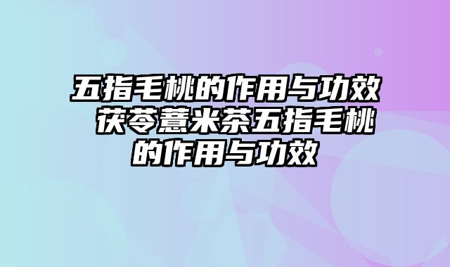 五指毛桃的作用与功效 茯苓薏米茶五指毛桃的作用与功效