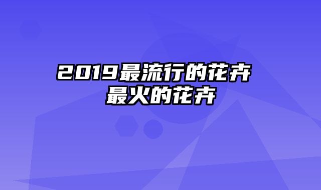 2019最流行的花卉 最火的花卉