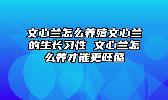 文心兰怎么养殖文心兰的生长习性 文心兰怎么养才能更旺盛