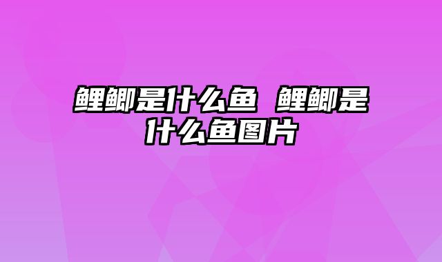 鲤鲫是什么鱼 鲤鲫是什么鱼图片