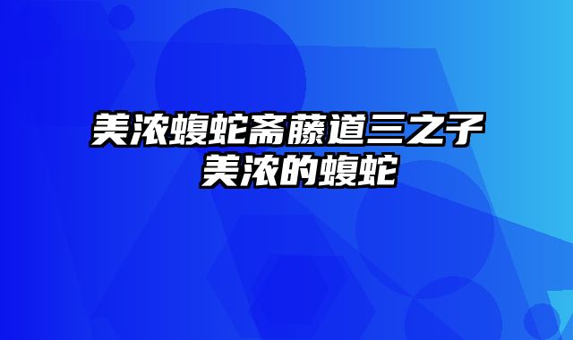 美浓蝮蛇斋藤道三之子 美浓的蝮蛇