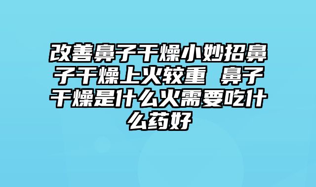 改善鼻子干燥小妙招鼻子干燥上火较重 鼻子干燥是什么火需要吃什么药好