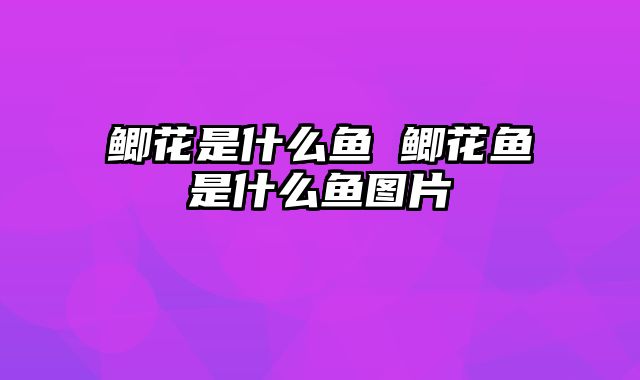 鲫花是什么鱼 鲫花鱼是什么鱼图片
