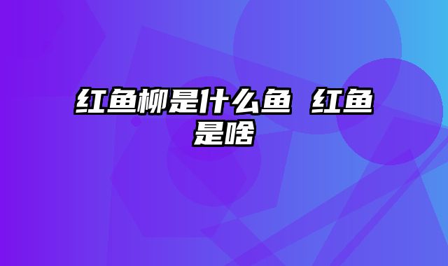 红鱼柳是什么鱼 红鱼是啥