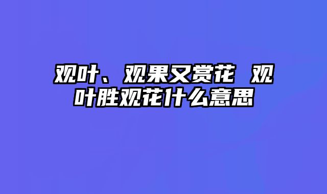 观叶、观果又赏花 观叶胜观花什么意思