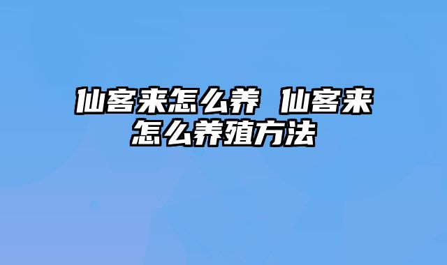 仙客来怎么养 仙客来怎么养殖方法