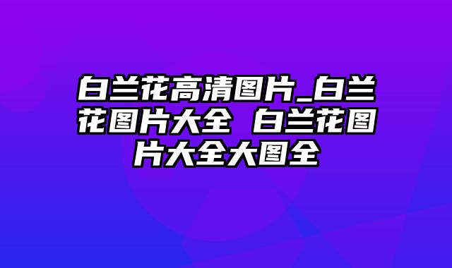 白兰花高清图片_白兰花图片大全 白兰花图片大全大图全