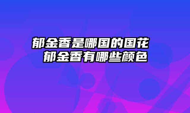 郁金香是哪国的国花 郁金香有哪些颜色