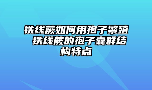 铁线蕨如何用孢子繁殖 铁线蕨的孢子囊群结构特点