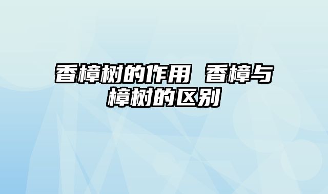 香樟树的作用 香樟与樟树的区别