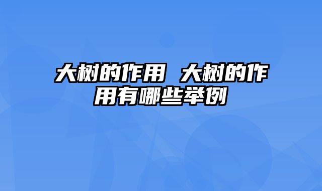 大树的作用 大树的作用有哪些举例