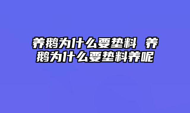 养鹅为什么要垫料 养鹅为什么要垫料养呢