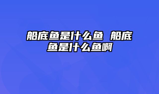 船底鱼是什么鱼 船底鱼是什么鱼啊