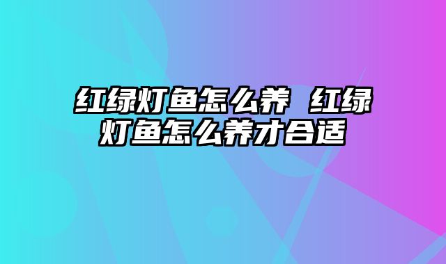 红绿灯鱼怎么养 红绿灯鱼怎么养才合适