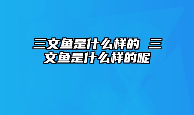 三文鱼是什么样的 三文鱼是什么样的呢