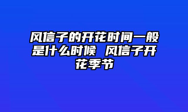 风信子的开花时间一般是什么时候 风信子开花季节