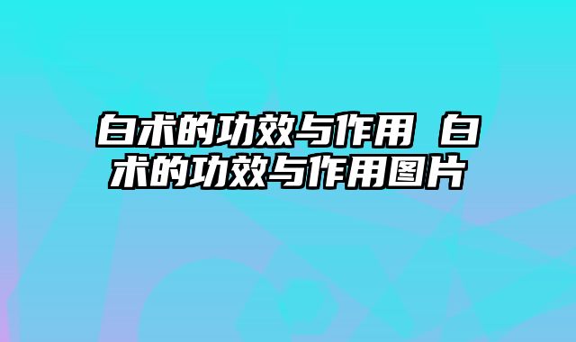 白术的功效与作用 白术的功效与作用图片