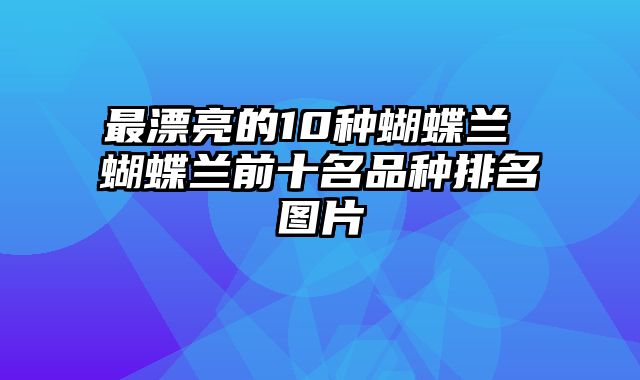 最漂亮的10种蝴蝶兰 蝴蝶兰前十名品种排名图片