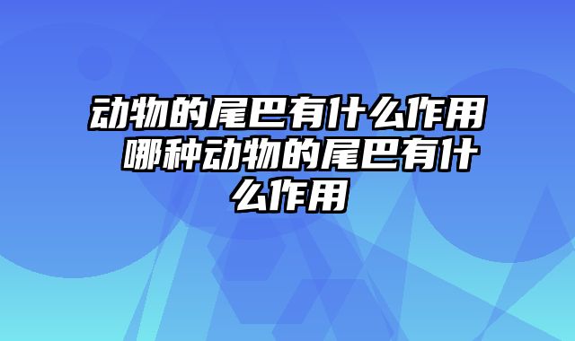 动物的尾巴有什么作用 哪种动物的尾巴有什么作用