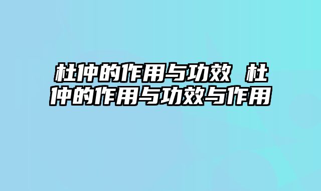 杜仲的作用与功效 杜仲的作用与功效与作用