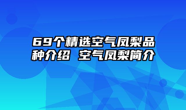 69个精选空气凤梨品种介绍 空气凤梨简介
