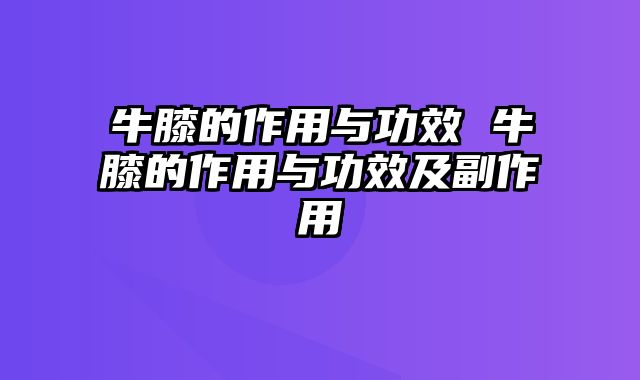 牛膝的作用与功效 牛膝的作用与功效及副作用