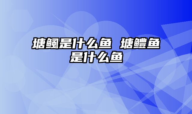 塘鲺是什么鱼 塘鳢鱼是什么鱼