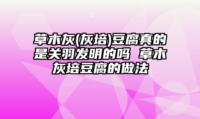 草木灰(灰培)豆腐真的是关羽发明的吗 草木灰培豆腐的做法