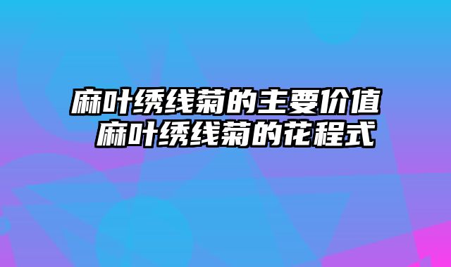麻叶绣线菊的主要价值 麻叶绣线菊的花程式