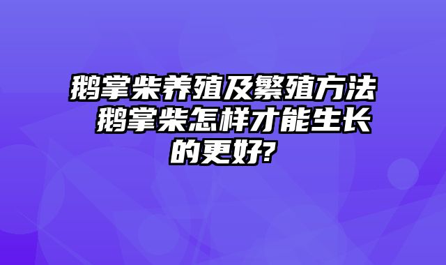 鹅掌柴养殖及繁殖方法 鹅掌柴怎样才能生长的更好?