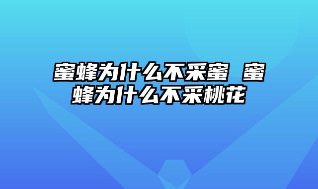 蜜蜂为什么不采蜜 蜜蜂为什么不采桃花