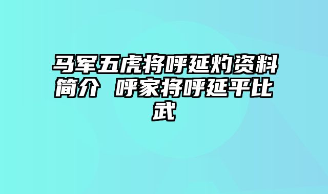 马军五虎将呼延灼资料简介 呼家将呼延平比武