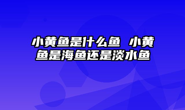小黄鱼是什么鱼 小黄鱼是海鱼还是淡水鱼