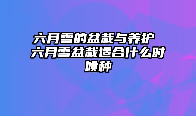 六月雪的盆栽与养护 六月雪盆栽适合什么时候种