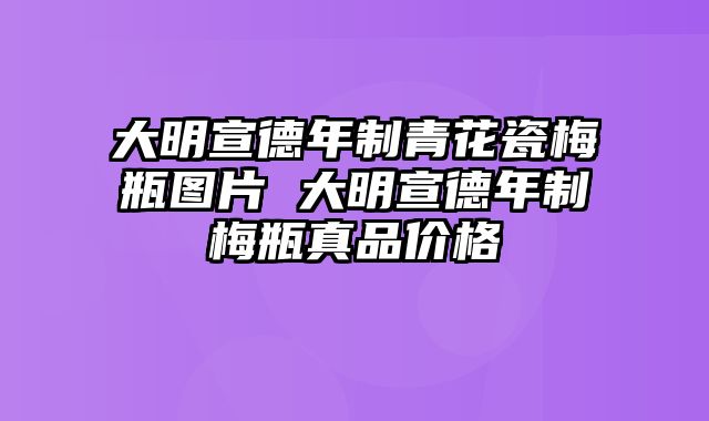 大明宣德年制青花瓷梅瓶图片 大明宣德年制梅瓶真品价格