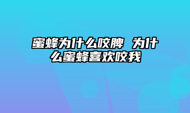 蜜蜂为什么咬脾 为什么蜜蜂喜欢咬我